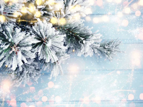 Kış Noel Arkaplanı Köknar Dalları Koniler Mavi Ahşap Dokuda Kar Stok Fotoğraf