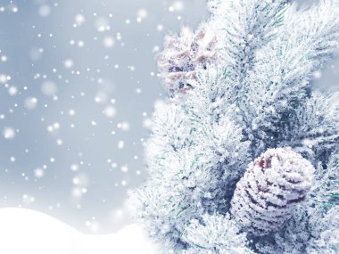 Kış Noel arkaplanında kar köknar dalları donmuş dutlar