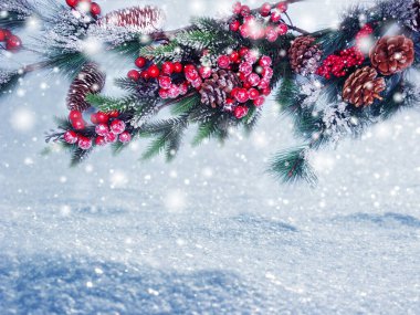 Yılbaşı arka planında kar köknar dalları orman zemininde koni