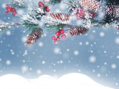 Kış Noel arkaplanında kar köknar dalları donmuş dutlar