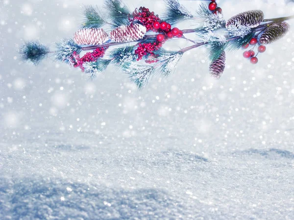 Vinter Jul Bakgrund Med Snö Gran Grenar Kottar Skog Bakgrund — Stockfoto