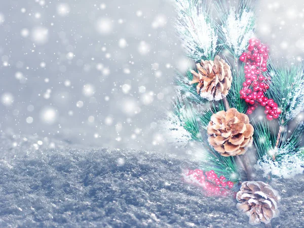 Téli Karácsonyi Háttér Fenyő Ágak Kúp Erdei Háttér — Stock Fotó