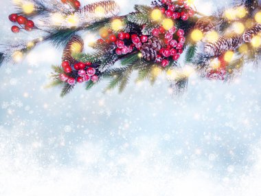 Kış Noel arkaplanı köknar dalları koniler ve mavi ahşap dokuda kar                              