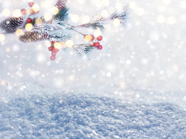 冬のクリスマスの背景に雪のモミの枝のコーン — ストック写真