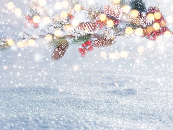 Inverno Sfondo Natale Con Neve Rami Abete Coni Sfondo Foresta — Foto Stock