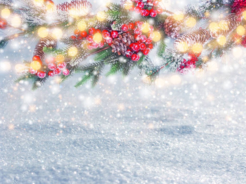 winter christmas background with snow fir branches cones on forest background