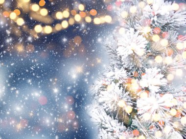 Kış Noel arkaplanı köknar dalları koniler ve mavi ahşap dokuda kar                              