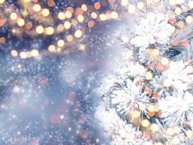 Kış Noel arkaplanı köknar dalları koniler ve mavi ahşap dokuda kar                              