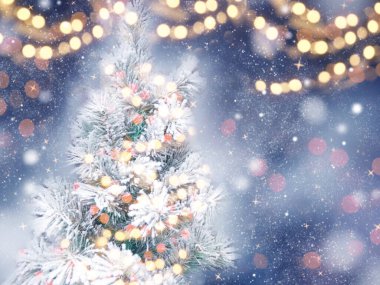 Kış Noel arkaplanı köknar dalları koniler ve mavi ahşap dokuda kar                              