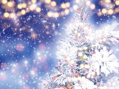 Kış Noel arkaplanı köknar dalları koniler ve mavi ahşap dokuda kar                              