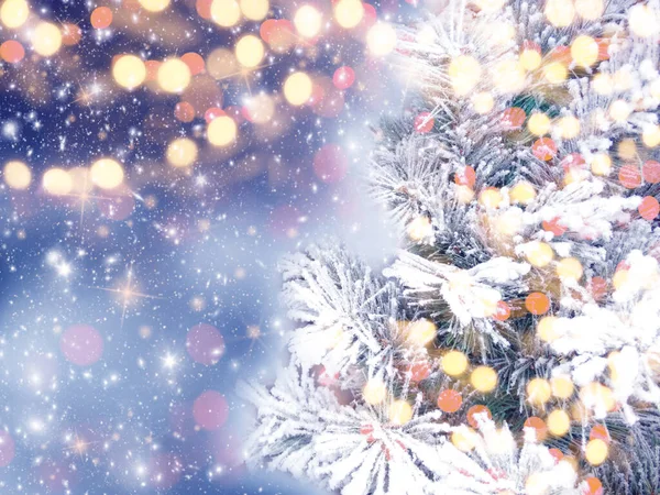 Téli Karácsonyi Háttér Fenyő Ágak Kúp Kék Textúra — Stock Fotó