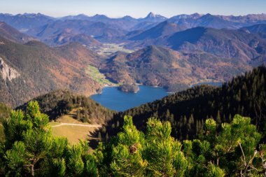 Alpine View / Herzogstand & Walchensee