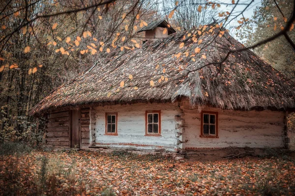 Old hut in autumn — Stock Photo, Image