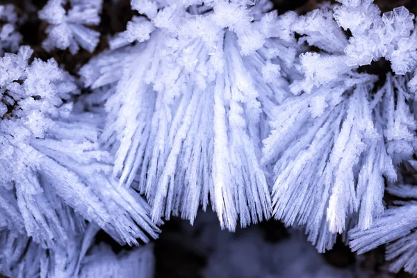 Agujas Cristal Nieve Cerca Enfoque Selectivo — Foto de Stock