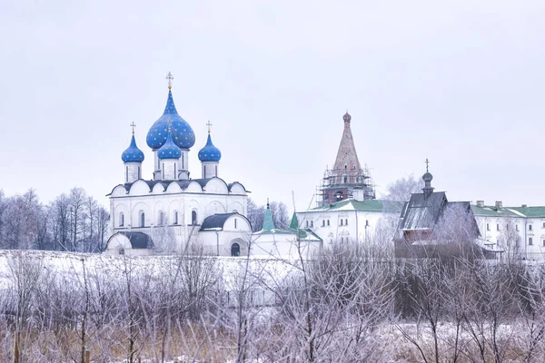 ロシアのスズダル 2020年1月11日 スズダル クレムリン ウラジミール スズダル博物館 保護区 冬の日に表示します ロジェストヴェンスキー大聖堂 司教室 — ストック写真