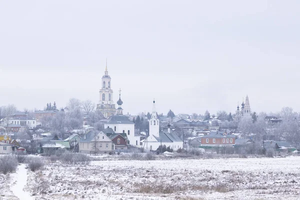Зимний Сельский Пейзаж Тумане Суздаль Россия — стоковое фото