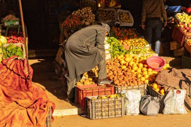 Tiznit Medina 'sında sebze gösterisi
