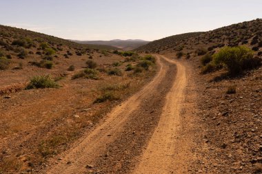 Güneye giden bir patika.