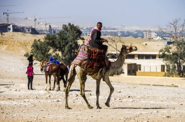 Giza piramitleri. Cairo, Mısır.