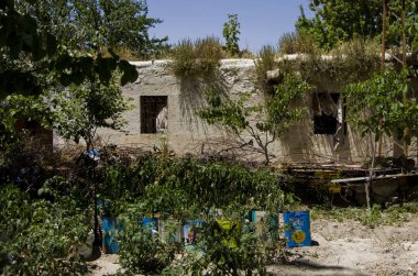 Geleneksel ev (değil Mağarası) ve kurak bir bölgede küçük Bahçe