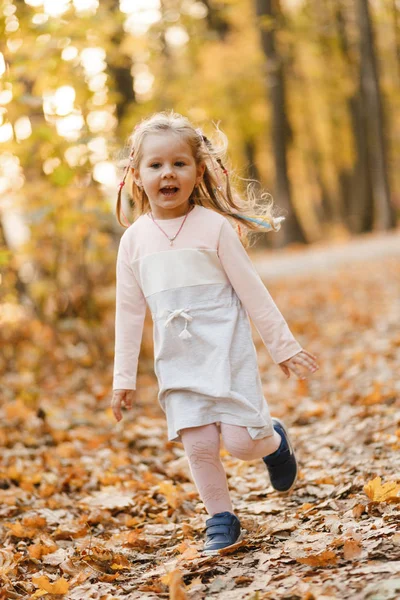 Gülümseyen Küçük Kız Sonbahar Parkında Eğleniyor — Stok fotoğraf