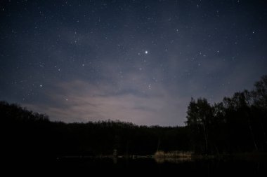 Yıldızlı gece ve etrafında ağaçlar olan gölet. Gece gökyüzü