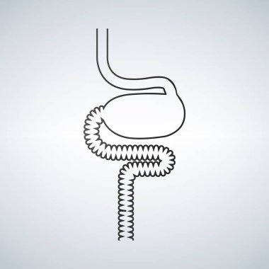 Beyaz arka plan üzerinde insan mide tasarlamak vektör çizim. Doğrusal simgesi.