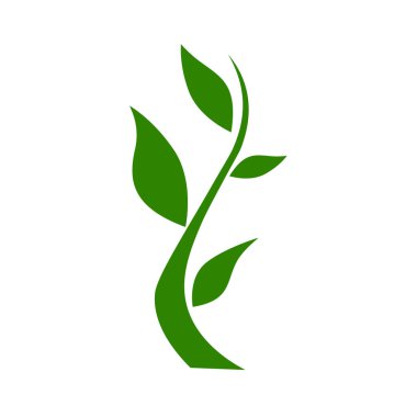 Yeşil yapraklı ekoloji doğa element ikonu logoları