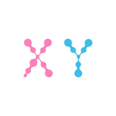 Seks Kromozomu. Moleküler sıvı tasarımında xy kromozomları. beyaz arka planda yalıtılmış vektör sembolü.