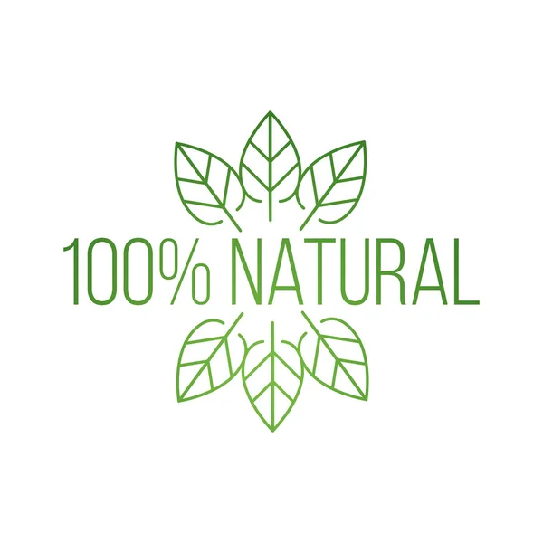 Logo 100 por ciento natural con hojas, producto natural, alimentos orgánicos y saludables. Ilustración vectorial aislada sobre fondo blanco . — Vector de stock