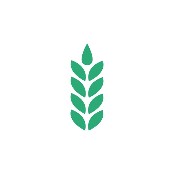 Значок пшеничного уха, Символ, иллюстрация логотипа. векторная иллюстрация на белом фоне . — стоковый вектор