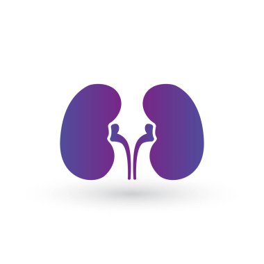 Basit böbrekler mor gradyan simgesi. Beyaz arkaplanda izole edilmiş sembol ve işaret vektörü çizimi.
