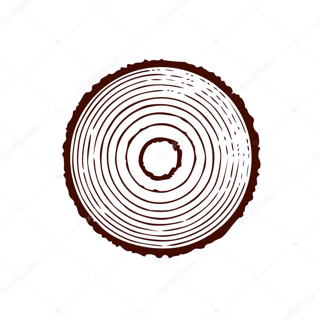 Tree trunk with rings. Annual tree growth rings. vector illustration isolated on white background.