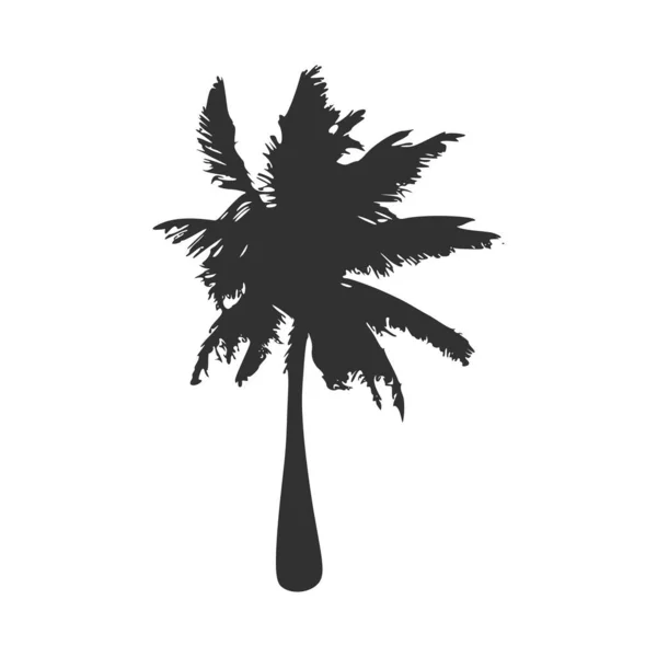 Silueta Palmera Tropical Stock Ilustración Vectorial Aislada — Vector de stock