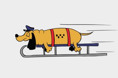 köpek yavrusu, kışın halletme Dachshund Köpek