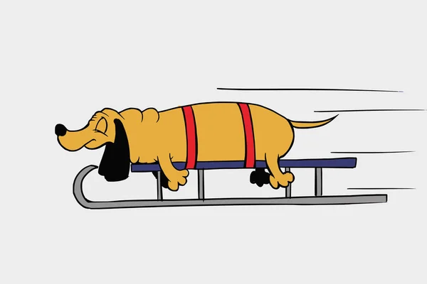 Dachshund kızak 2 üzerinde