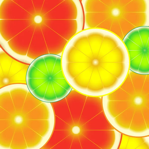 Citrus cutting 2 — Stock Vector