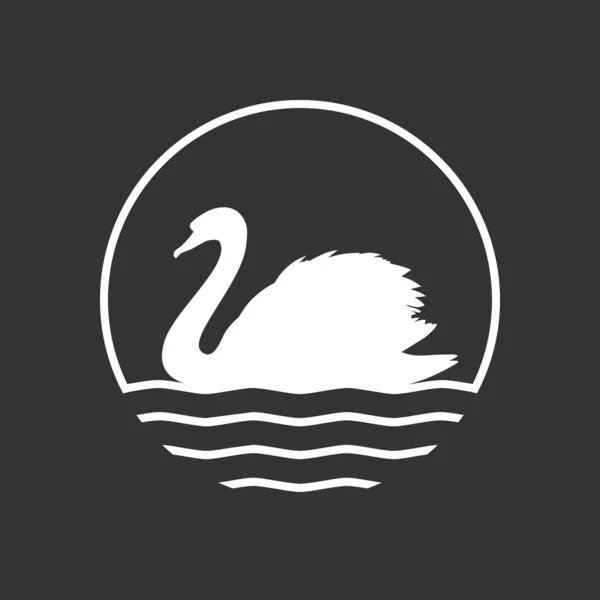 Cisne blanco — Vector de stock