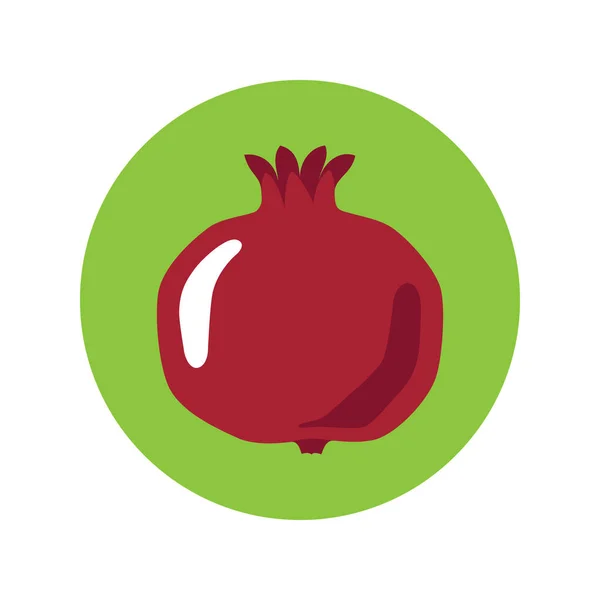 Pomegranate icon — Stock Vector