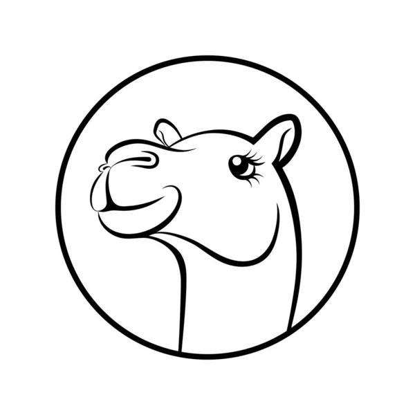Camel Cara Símbolo Gráficos Signo Camello Círculo Aislado Sobre Fondo — Vector de stock