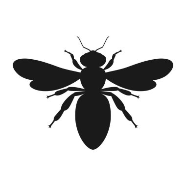 Arı grafik simgesi. Beyaz arka planda izole edilmiş işaret arısı. Arıcılığın sembolü. Vektör illüstrasyonu