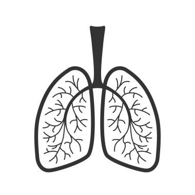 Akciğerler insan grafik ikonu. Beyaz arka planda insan ciğerleri izole edilmiş. Vektör illüstrasyonu