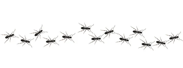 Ants Path Graphic Icon Black Line Worker Ants Isolated White — Stock Vector