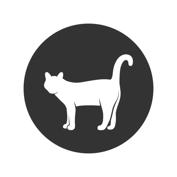 Icono Gráfico Cat Signo Gato Círculo Aislado Sobre Fondo Blanco — Vector de stock