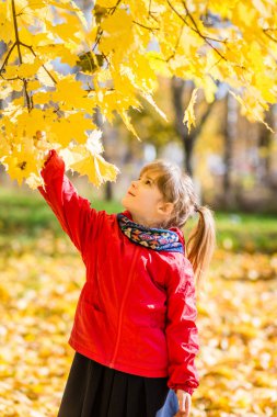 Sarışın kız akçaağaç bir kolu çekin. Sonbahar.