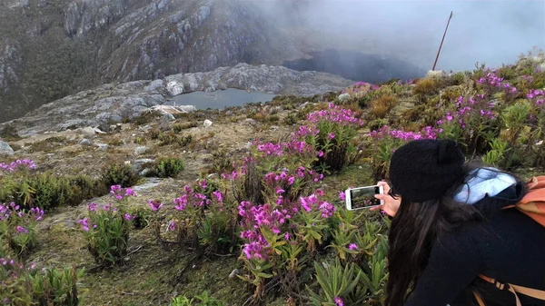 Yeşil dünya gülümseyen