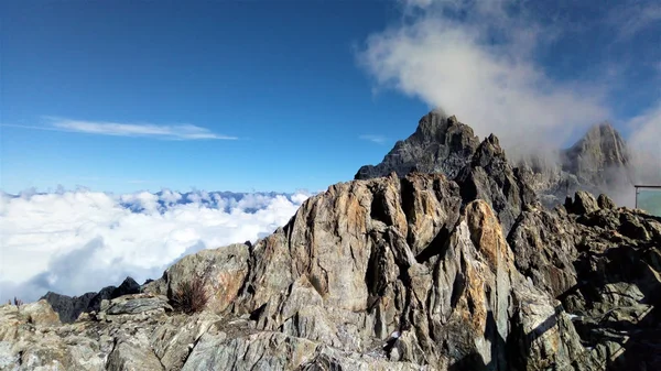 Yeni Bir Başlangıç