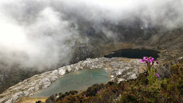 Özgürlüğün gözleri