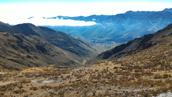 Breathing the green world