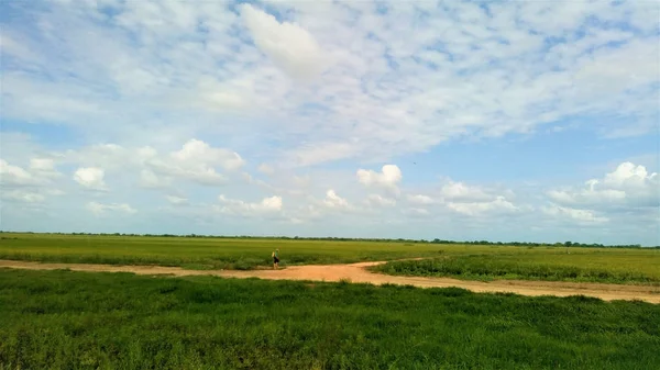 Gökyüzü güzel: Apure, Venezuela